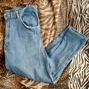 Nasty Vintage Plus Size Skinny Jean